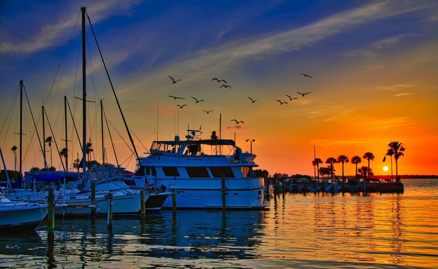 Scotia Travel Discover the world with Scotia